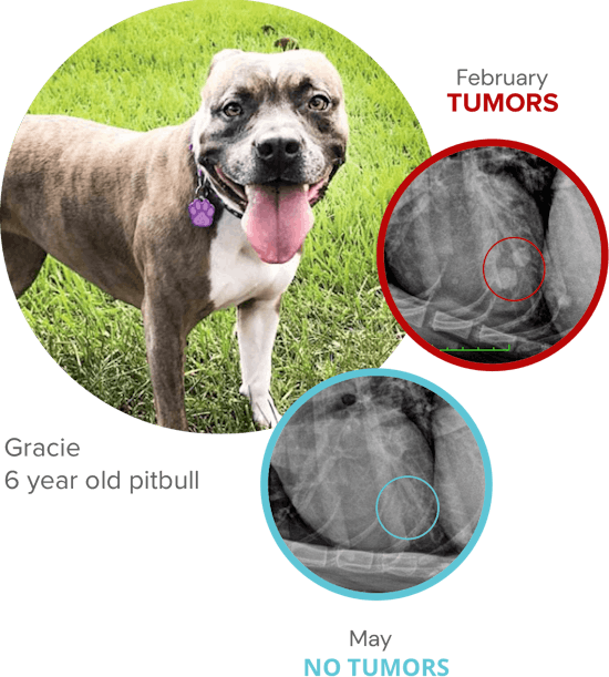 Gracie Tumor - Before and After